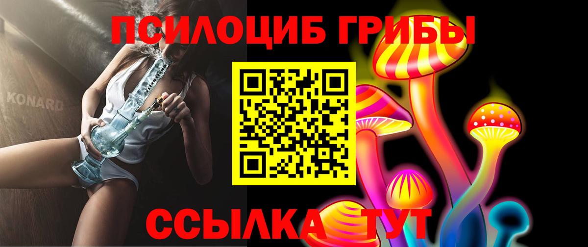 Псилоцибиновые грибы прущие грибы  сколько стоит  Саянск  Вход с VPN  Псилоцибиновые грибы мухоморы 